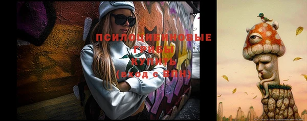 прущие грибы Белоозёрский