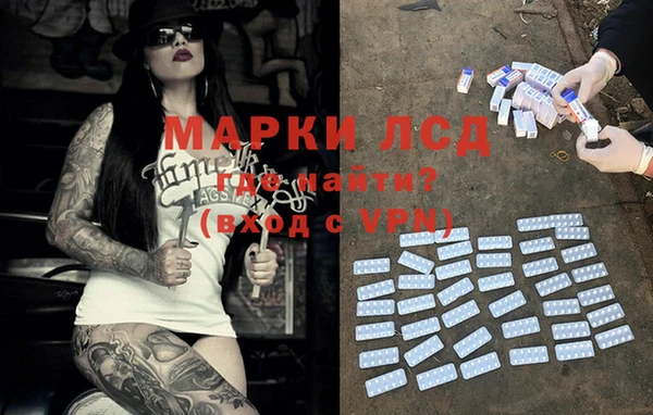 прущие грибы Белоозёрский