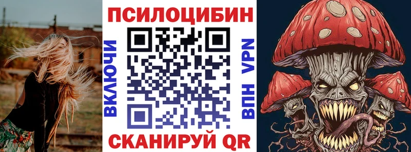 хочу наркоту Свободный Псилоцибиновые грибы Cubensis